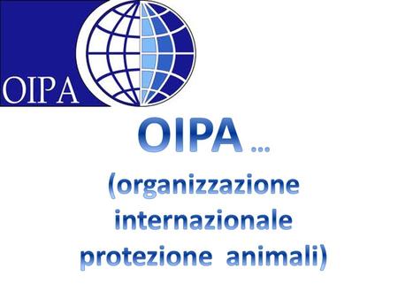 Questa organizzazione si occupa della tutela dellambiente, della protezione degli animali dai maltrattamenti : circhi, corride, feste per la vendita di.
