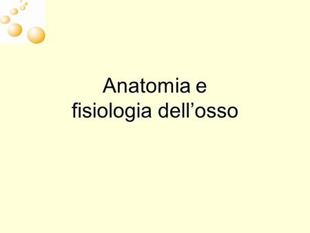 Anatomia e fisiologia dell’osso