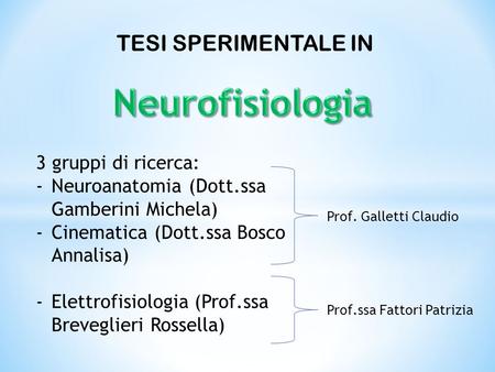 TESI SPERIMENTALE IN 3 gruppi di ricerca: -Neuroanatomia (Dott.ssa Gamberini Michela) -Cinematica (Dott.ssa Bosco Annalisa) -Elettrofisiologia (Prof.ssa.