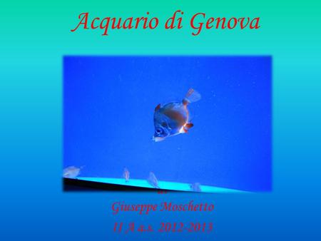 Acquario di Genova di Giuseppe Moschetto II A a.s. 2012-2013.