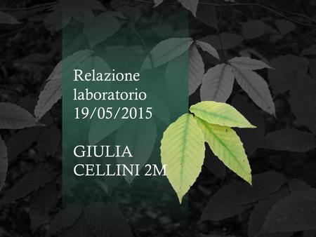 Relazione laboratorio 19/05/2015 GIULIA CELLINI 2M.