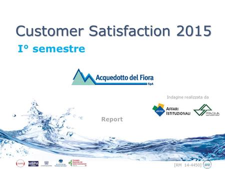 [RM 14-4450] Customer Satisfaction 2015 I° semestre Report Indagine realizzata da A FFARI I STITUZIONALI.