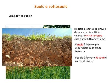 Suolo e sottosuolo Che cos’è il suolo? Com’è fatto il suolo?