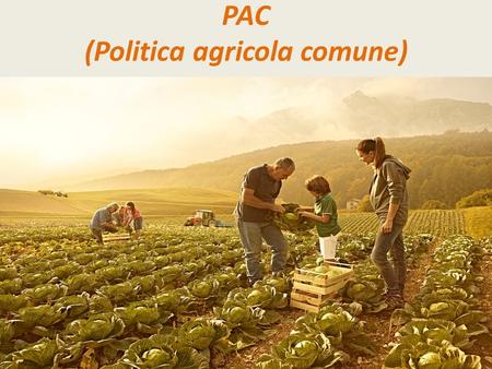 PAC (Politica agricola comune)