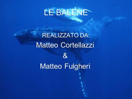 LE BALENE REALIZZATO DA: Matteo Cortellazzi & Matteo Fulgheri.