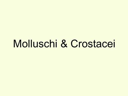 Molluschi & Crostacei.