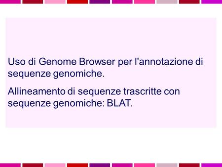 Uso di Genome Browser per l'annotazione di sequenze genomiche.