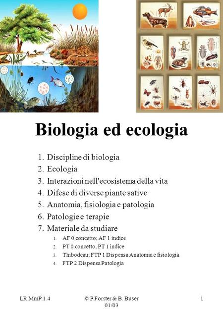 Biologia ed ecologia Discipline di biologia Ecologia