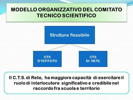 CTS DISTITUTO Struttura flessibile CTS DI RETE Il C.T.S. di Rete, ha maggiore capacità di esercitare il ruolo di interlocutore significativo e credibile.