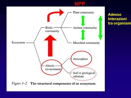 NPP Adesso Interazioni tra organismi.