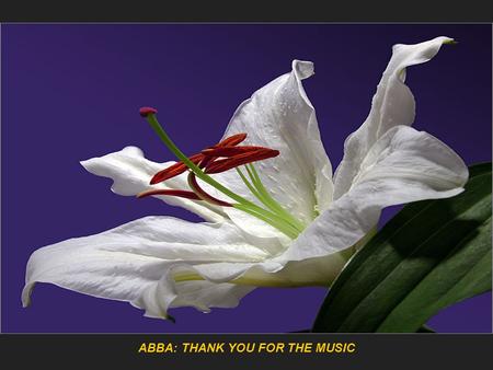 ABBA: THANK YOU FOR THE MUSIC