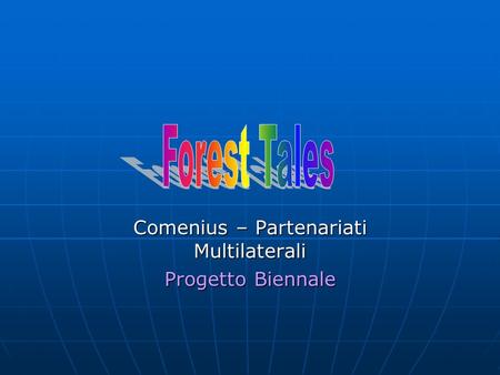 Comenius – Partenariati Multilaterali Progetto Biennale.