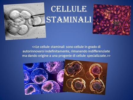 Cellule Staminali 
