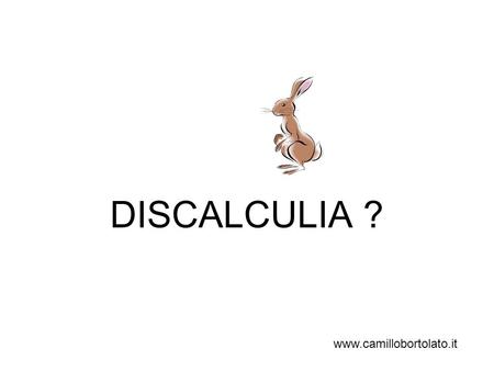 DISCALCULIA ? www.camillobortolato.it.