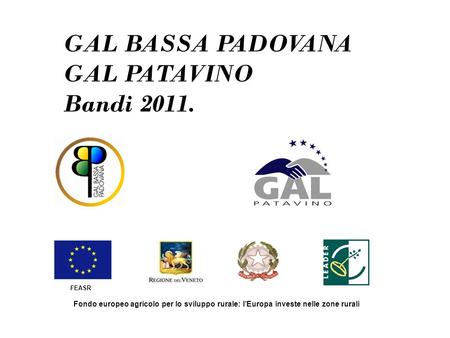GAL BASSA PADOVANA GAL PATAVINO Bandi 2011. FEASR Fondo europeo agricolo per lo sviluppo rurale: lEuropa investe nelle zone rurali.