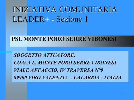 1 INIZIATIVA COMUNITARIA LEADER+ - Sezione 1 SOGGETTO ATTUATORE: CO.G.A.L. MONTE PORO SERRE VIBONESI VIALE AFFACCIO, IV TRAVERSA N°9 89900 VIBO VALENTIA.