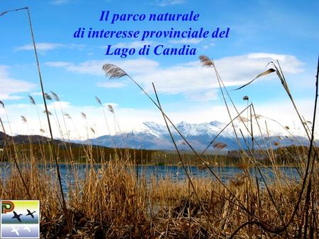 ENTE DI GESTIONE DEL PARCO NATURALE PROVINCIALE DEL LAGO DI CANDIA Il parco naturale di interesse provinciale del Lago di Candia.