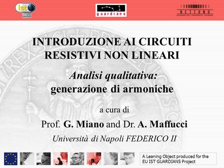 a cura di Prof. G. Miano and Dr. A. Maffucci