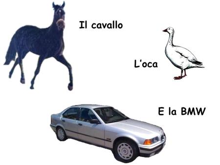 Il cavallo L’oca E la BMW.