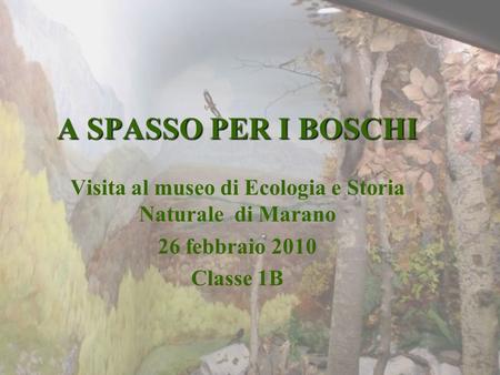 Visita al museo di Ecologia e Storia Naturale di Marano