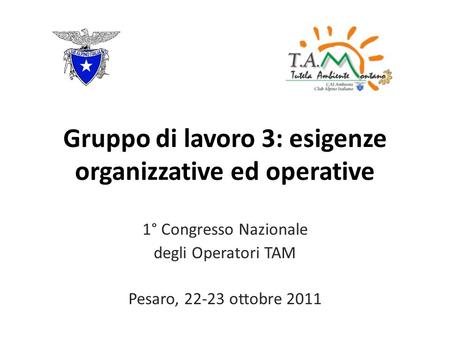 Gruppo di lavoro 3: esigenze organizzative ed operative 1° Congresso Nazionale degli Operatori TAM Pesaro, 22-23 ottobre 2011.