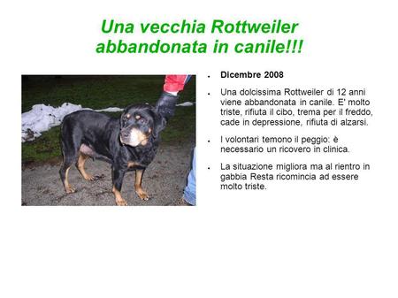 Una vecchia Rottweiler abbandonata in canile!!!