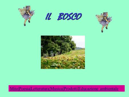 IL BOSCO Mito|Poesia|Letteratura|Musica|Prodotti|Educazione ambientale.