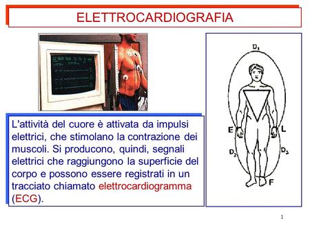 ELETTROCARDIOGRAFIA L'attività del cuore è attivata da impulsi elettrici, che stimolano la contrazione dei muscoli. Si producono, quindi, segnali elettrici.