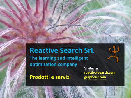 Prodotti e servizi Grapheur - take the plunge to Reactive Business Intelligence Reactive Search Optimization (RSO) software da inserire in prodotti/servizi.