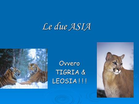 Le due ASIA Ovvero TIGRIA	& LEOSIA ! ! !.