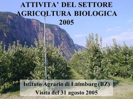 ATTIVITA’ DEL SETTORE AGRICOLTURA BIOLOGICA 2005