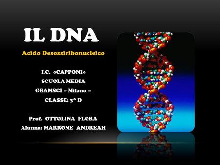 IL DNA Acido Desossiribonucleico I.C. «CAPPONI» SCUOLA MEDIA