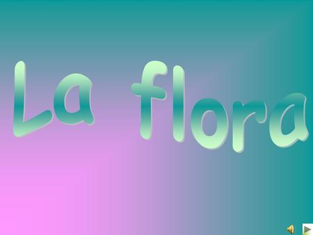 La flora.