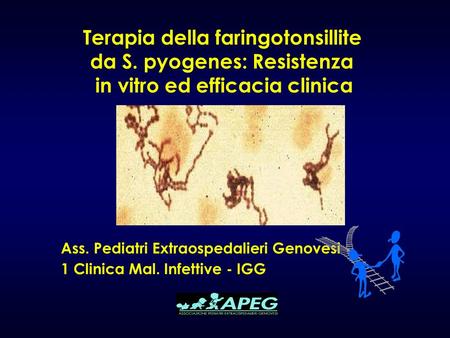Terapia della faringotonsillite da S. pyogenes: Resistenza