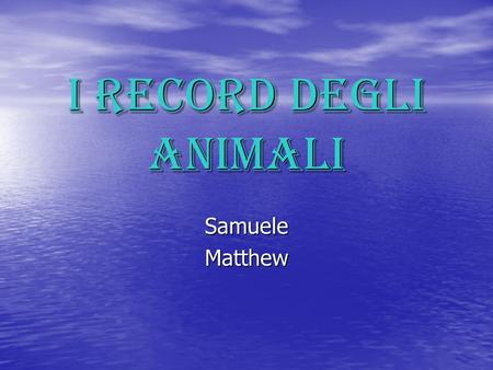 I record degli animali Samuele Matthew.