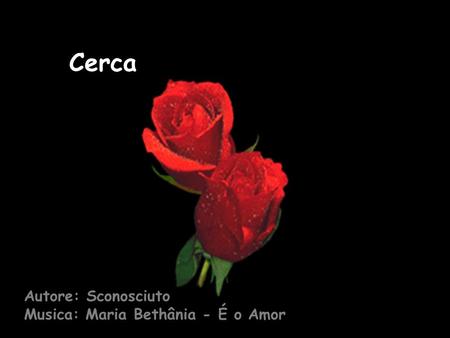 Cerca Autore: Sconosciuto Musica: Maria Bethânia - É o Amor.