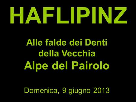 HAFLIPINZ Alle falde dei Denti della Vecchia Alpe del Pairolo Domenica, 9 giugno 2013.