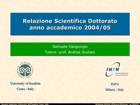 Relazione Scientifica Dottorato anno accademico 2004/05