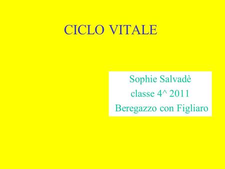 Sophie Salvadè classe 4^ 2011 Beregazzo con Figliaro