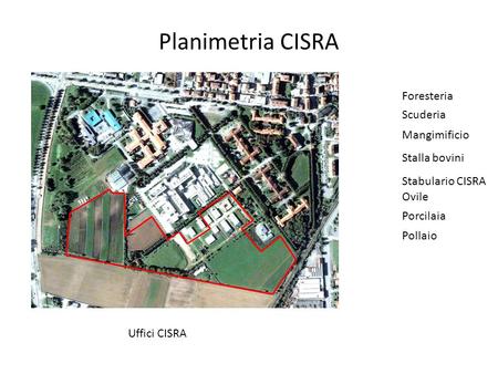 Planimetria CISRA Foresteria Scuderia Mangimificio Stalla bovini
