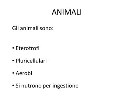ANIMALI Gli animali sono: Eterotrofi Pluricellulari Aerobi