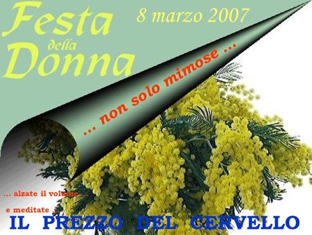 8 marzo 2007 IL PREZZO DEL CERVELLO … non solo mimose …