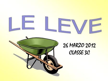 LE LEVE 26 MARZO 2012 CLASSE 3C.