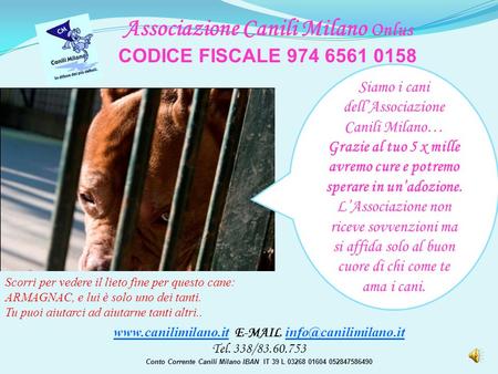 Tel. 338/83.60.753 Conto Corrente Canili Milano IBAN IT 39 L 03268 01604 052847586490 Associazione Canili.