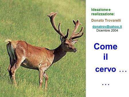 Ideazione e realizzazione: Donato Trovarelli Dicembre 2004 Come il