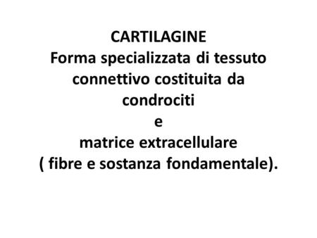 CARTILAGINE Forma specializzata di tessuto connettivo costituita da condrociti e matrice extracellulare ( fibre e sostanza fondamentale).
