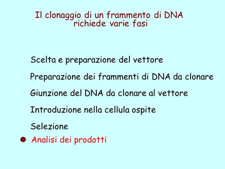 Il clonaggio di un frammento di DNA