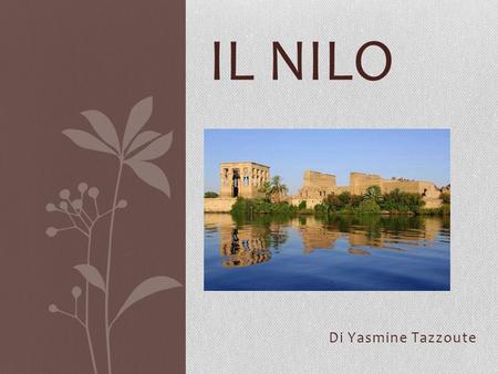 IL Nilo Di Yasmine Tazzoute.