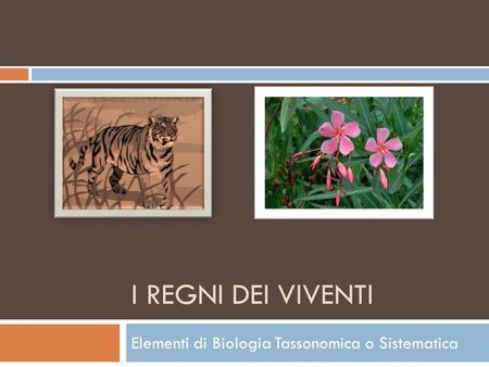 Elementi di Biologia Tassonomica o Sistematica