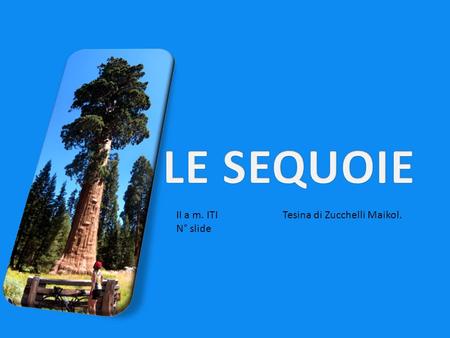 LE SEQUOIE II a m. ITI N° slide Tesina di Zucchelli Maikol.